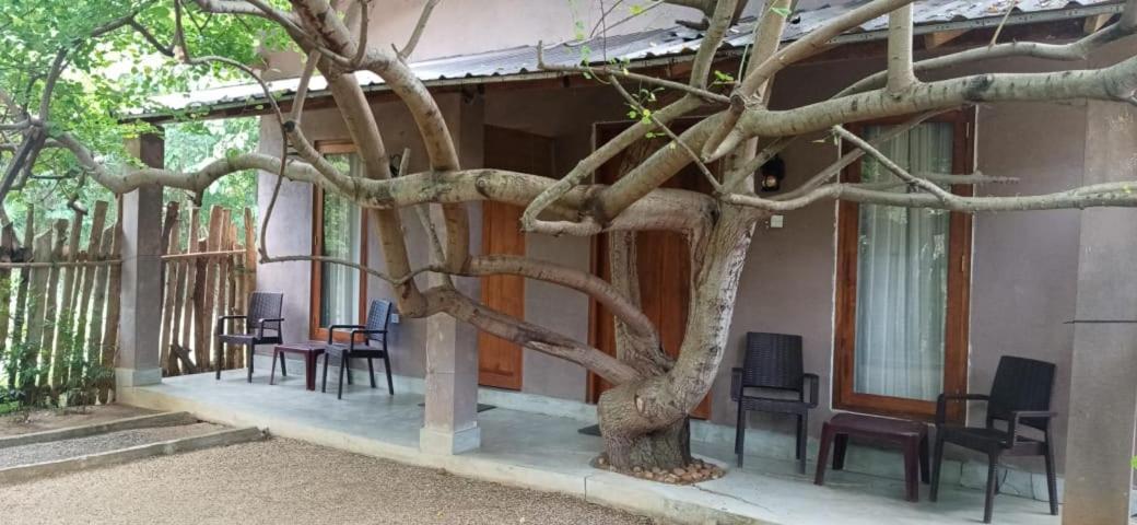 Hantara Udawalawa Udawalawe Exterior foto