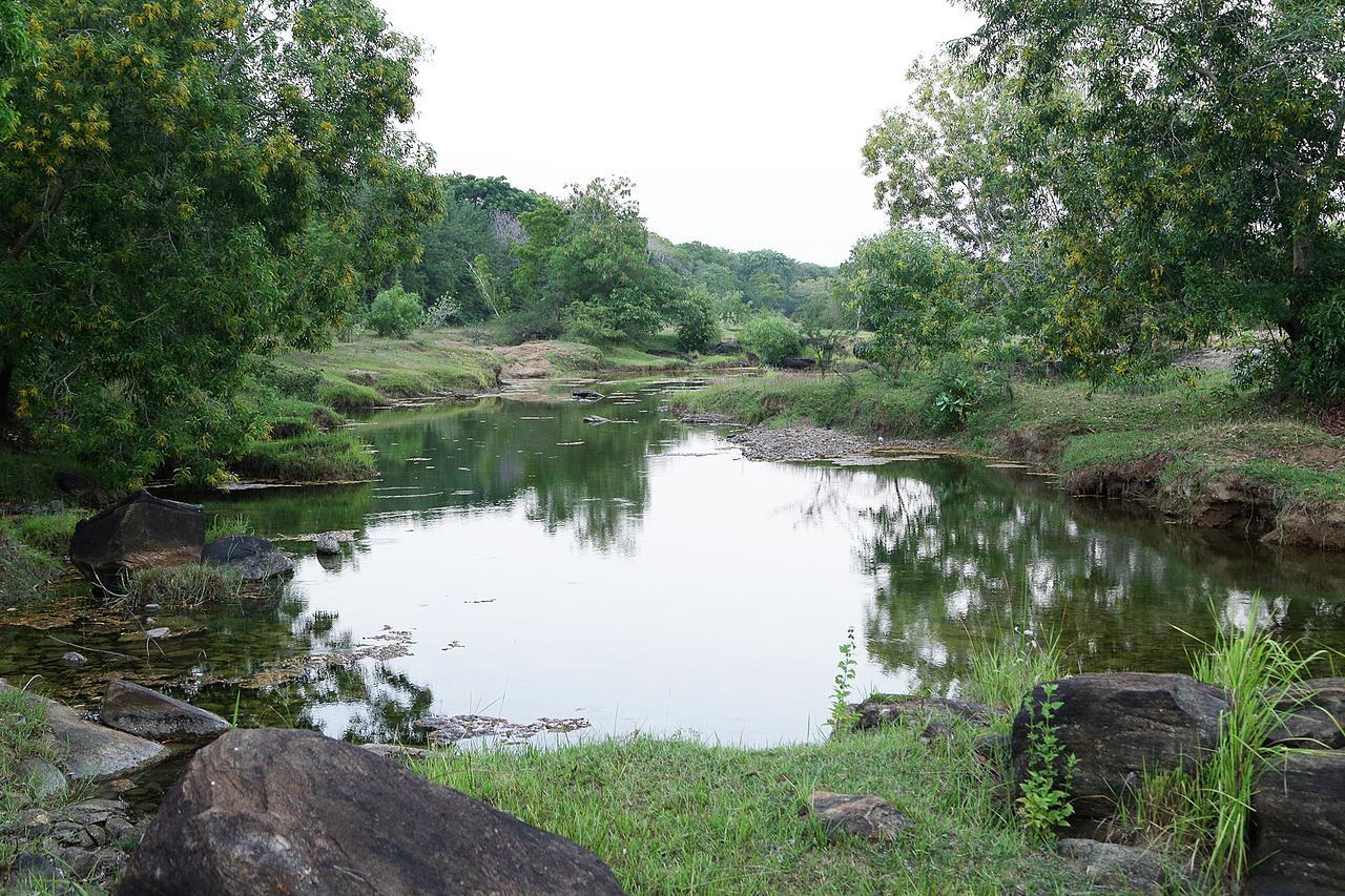 Hantara Udawalawa Udawalawe Exterior foto