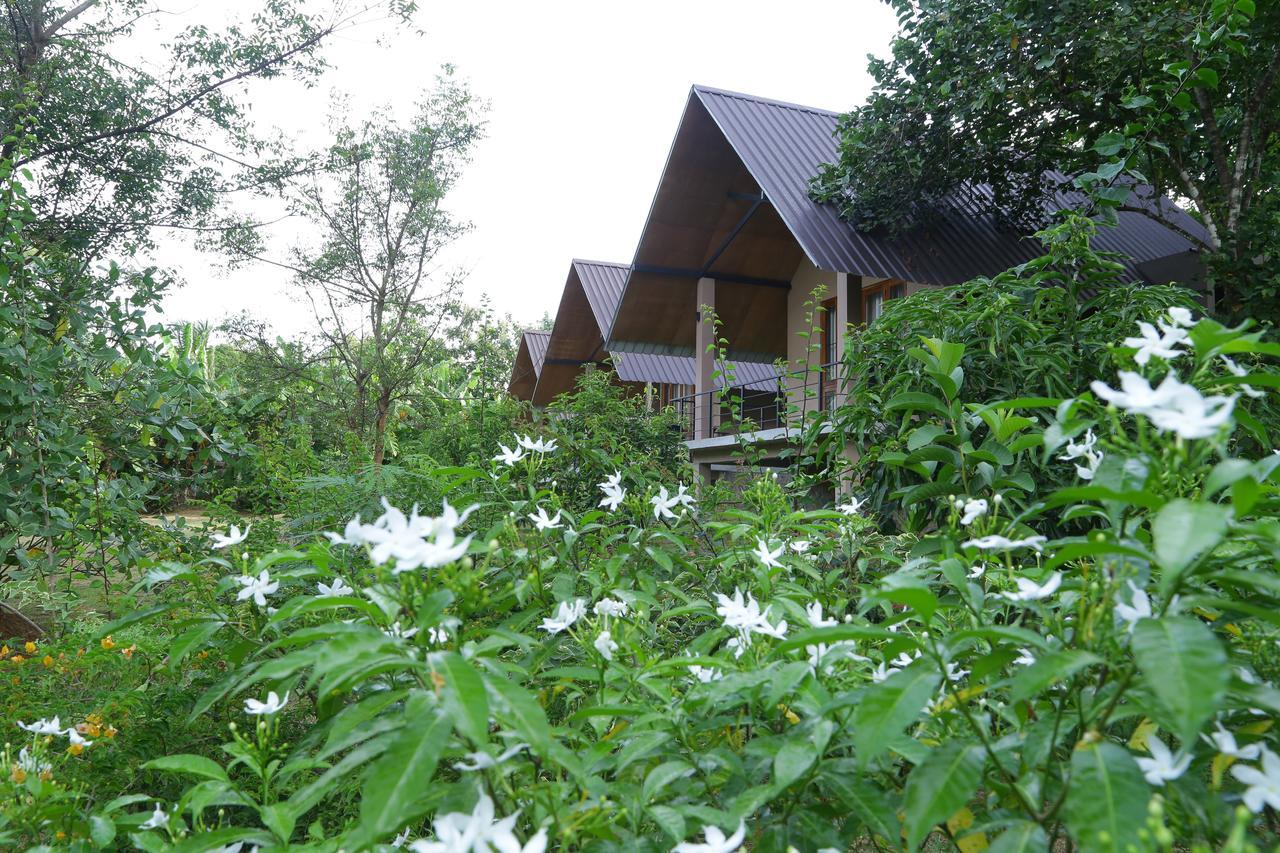 Hantara Udawalawa Udawalawe Exterior foto