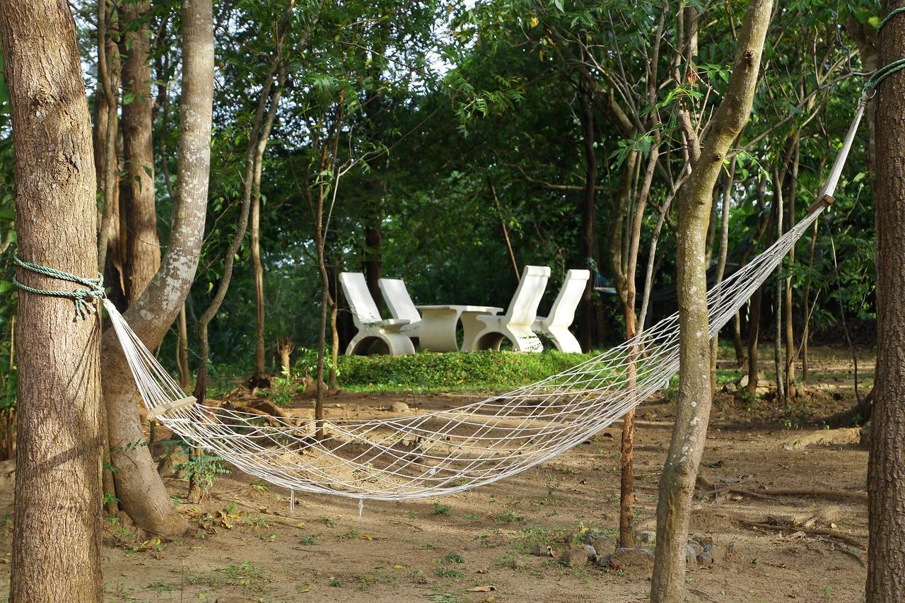 Hantara Udawalawa Udawalawe Exterior foto