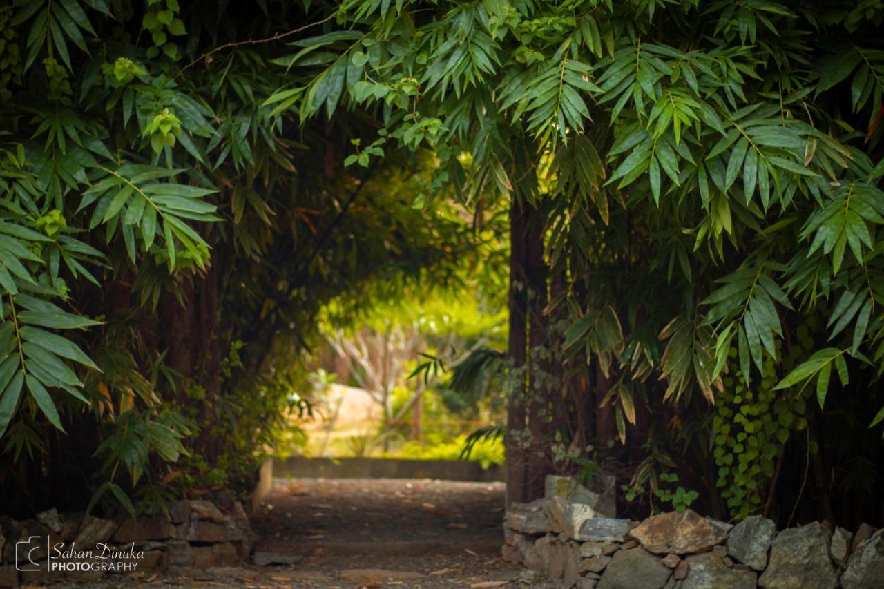 Hantara Udawalawa Udawalawe Exterior foto