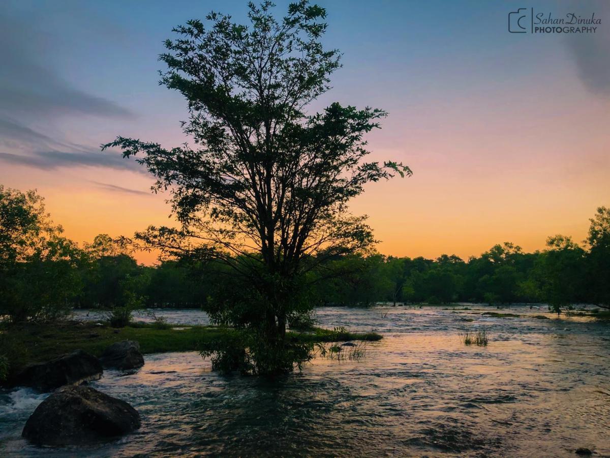 Hantara Udawalawa Udawalawe Exterior foto
