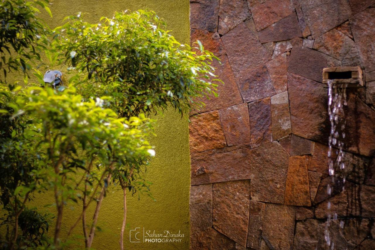 Hantara Udawalawa Udawalawe Exterior foto