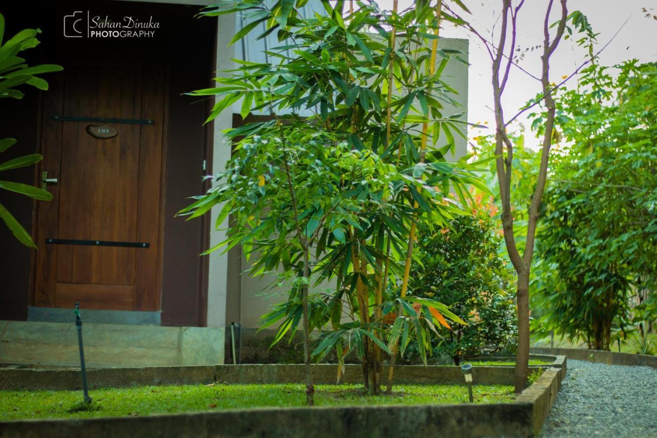 Hantara Udawalawa Udawalawe Exterior foto