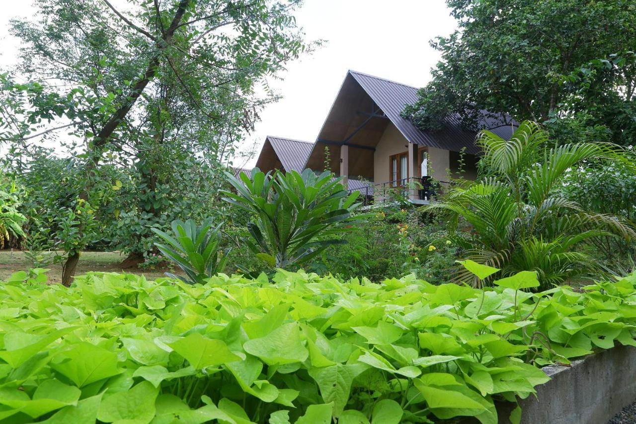 Hantara Udawalawa Udawalawe Exterior foto